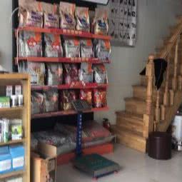 起点宠物公馆(春雷路店):上海城区宝山区月浦镇附近