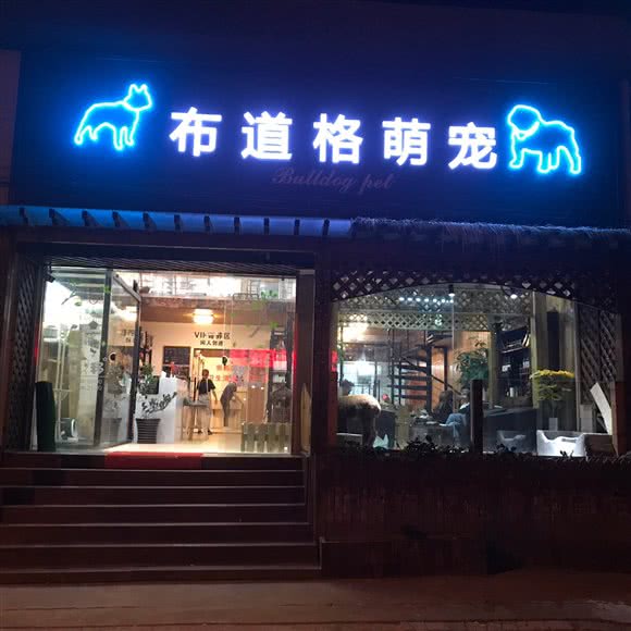 布道格萌宠(月罗公路店):上海城区宝山区美兰湖附近