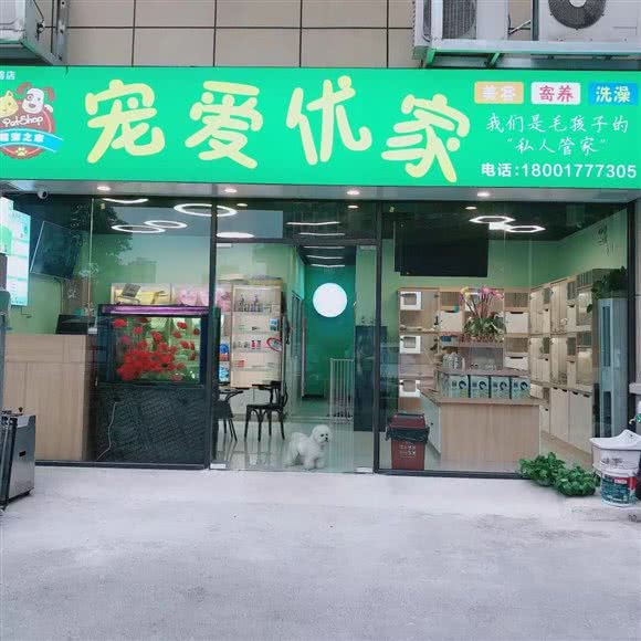 宠爱优家:上海城区宝山区美兰湖附近