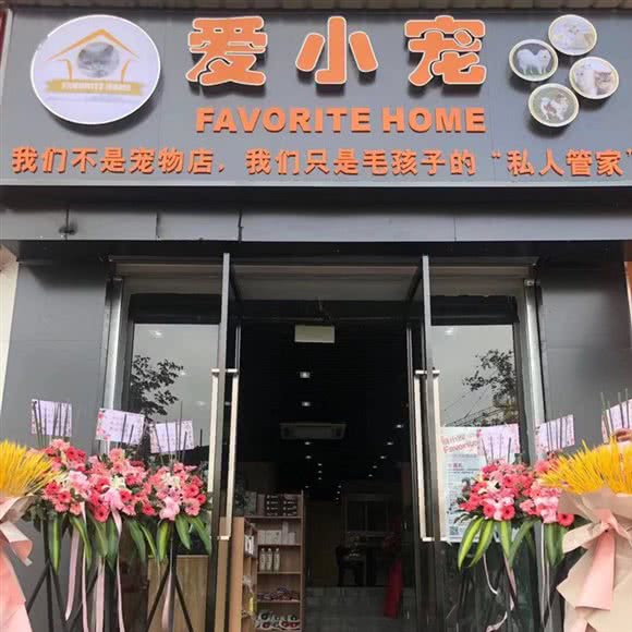 爱小宠FavoriteHome(美康路店):上海城区宝山区美兰湖附近