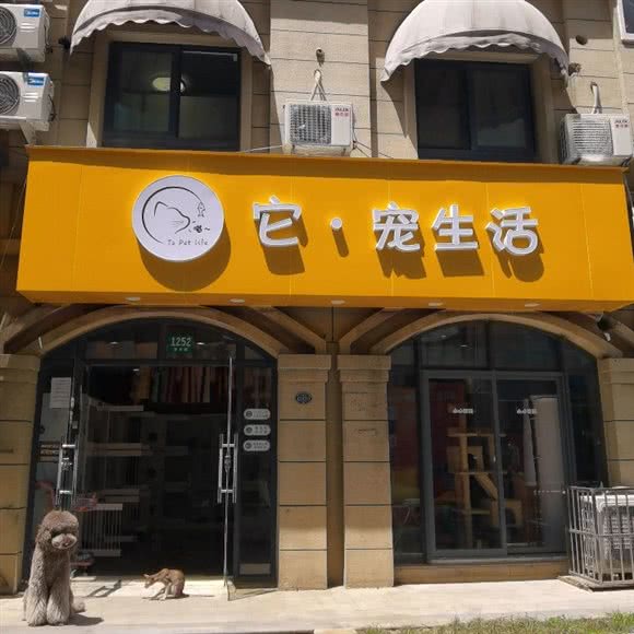 它宠生活:上海城区宝山区美兰湖附近