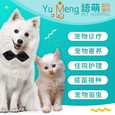 語萌寵物醫院·骨外科中心:上海城区宝山区美兰湖附近