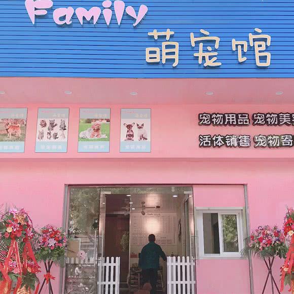 Family萌宠馆:上海城区宝山区上海大学附近
