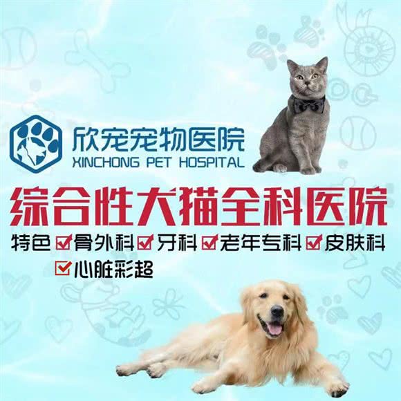 欣宠宠物医院·骨外科·心脏彩超·牙科·犬猫全科:上海城区宝山区上海大学附近