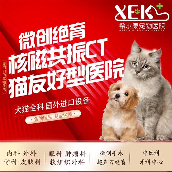 希尔康宠物医院:上海城区宝山区上海大学附近
