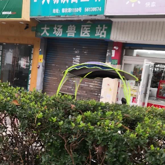 大场镇兽医站(锦秋路店):上海城区宝山区上海大学附近