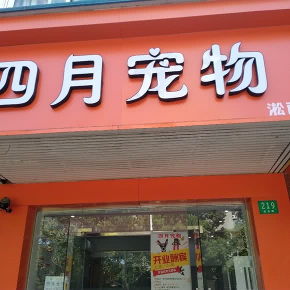 四月宠物(淞南店):上海城区宝山区淞南附近