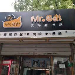 Mr cat名猫生活馆:上海城区宝山区淞南附近