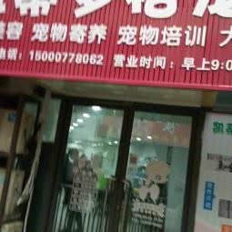 凯蒂多格宠物用品店:上海城区宝山区淞南附近