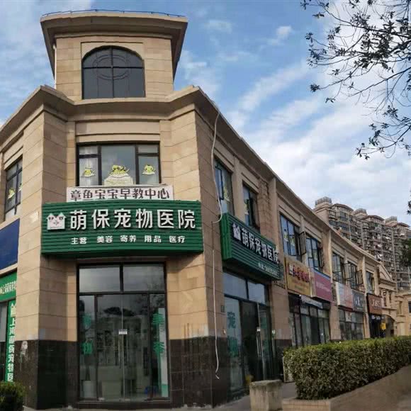 萌保宠物医院·犬猫异宠:上海城区宝山区淞南附近