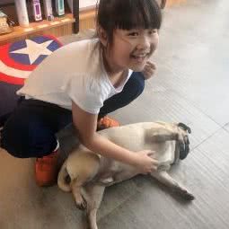 PETKIT小佩宠物(松兰路店):上海城区宝山区杨行镇附近