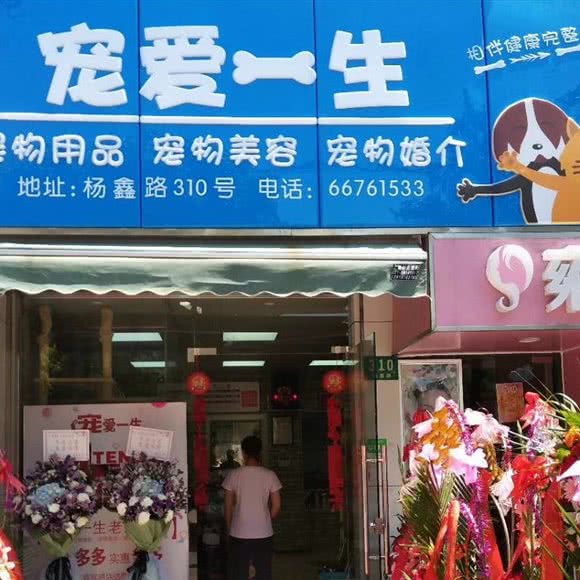 宠爱一生:上海城区宝山区杨行镇附近