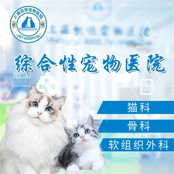 上海凯特宠物医院?猫科?骨科?软组织外科:上海城区宝山区杨行镇附近