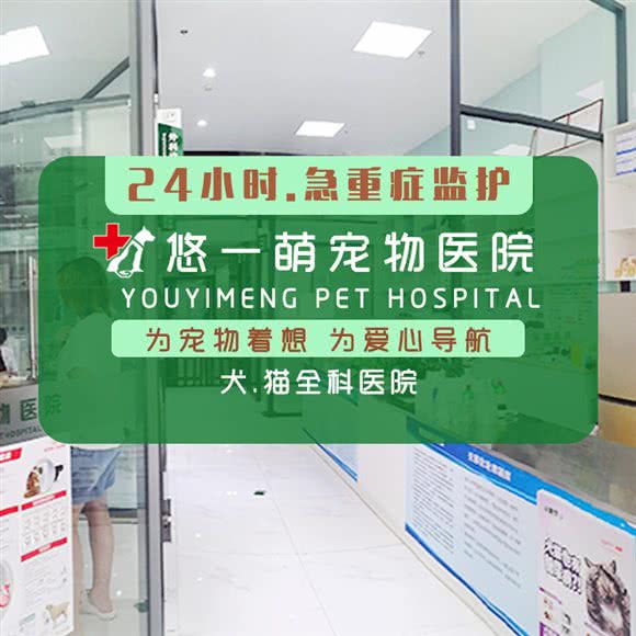悠一萌宠物医院·24小时(宝山万达店):上海城区宝山区宝山万达广场附近