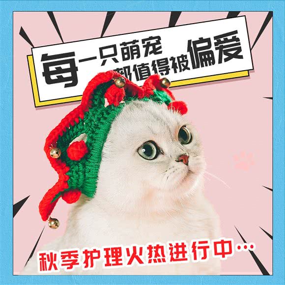 萌小它宠物生活馆(杨行镇店):上海城区宝山区共富新村附近