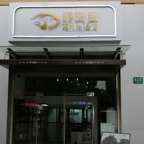 嘎灵阁宠物生活馆:上海城区嘉定区嘉定镇附近