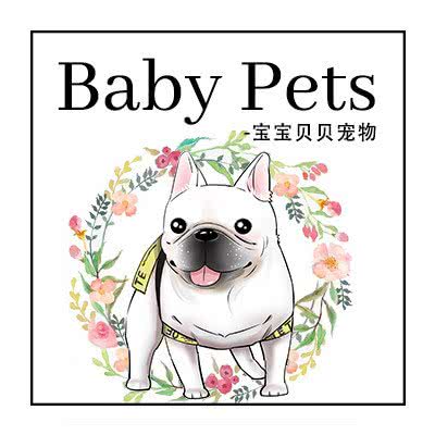 宝宝贝贝·法斗专卖店:上海城区嘉定区嘉定镇附近