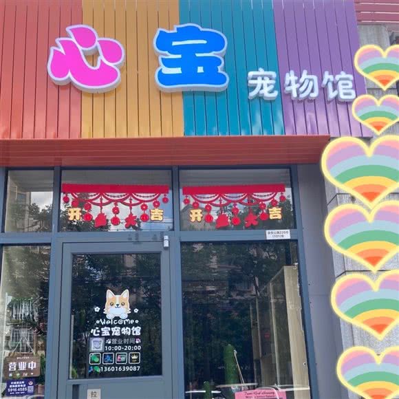 心宝宠物馆:上海城区嘉定区嘉定镇附近