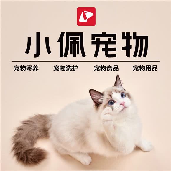 PETKIT小佩宠物(柳湖路店):上海城区嘉定区嘉定镇附近