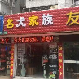 名犬家族:上海城区嘉定区嘉定镇附近