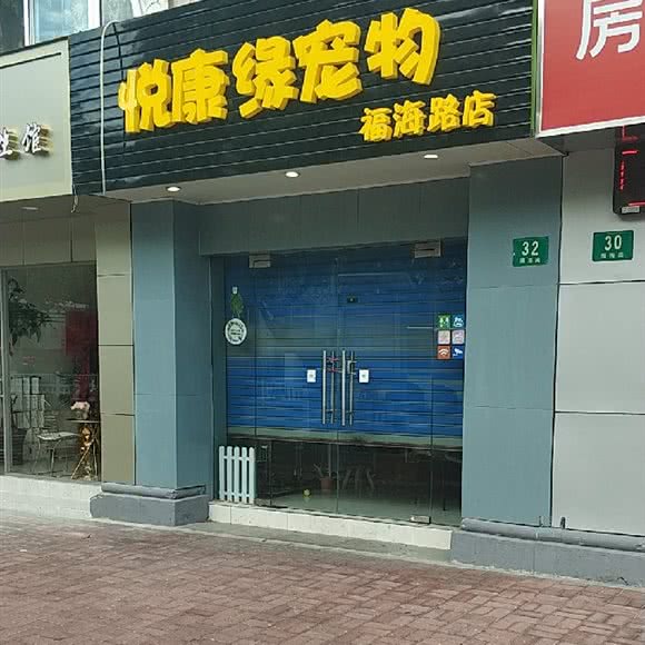 憨憨de宠物:上海城区嘉定区嘉定镇附近