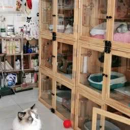 派多格宠物(裕民路店):上海城区嘉定区嘉定镇附近