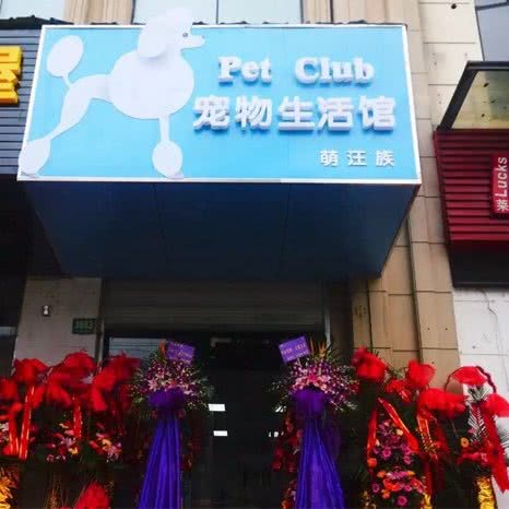 萌汪族宠物生活馆:上海城区嘉定区嘉定镇附近
