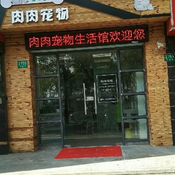 肉肉宠物生活馆:上海城区嘉定区嘉定镇附近