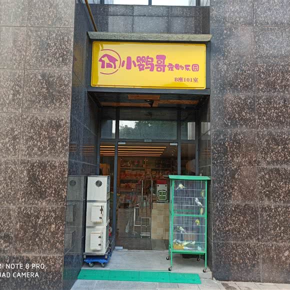小鹦哥宠物乐园:上海城区嘉定区梅川路步行街附近