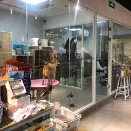 BP PETS(五彩城店):上海城区嘉定区南翔附近