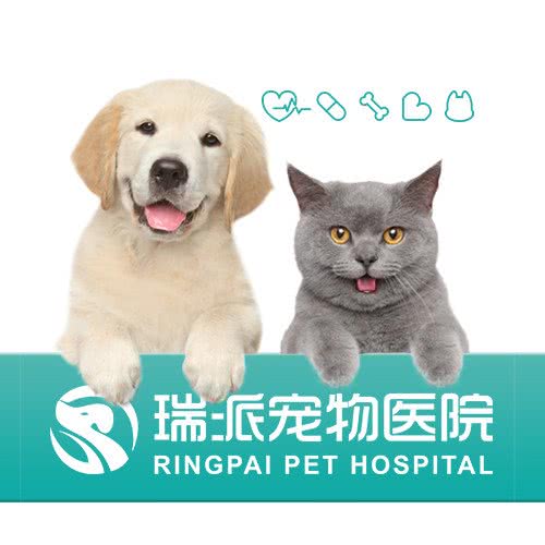 上海慕派宠物诊所:上海城区嘉定区南翔附近