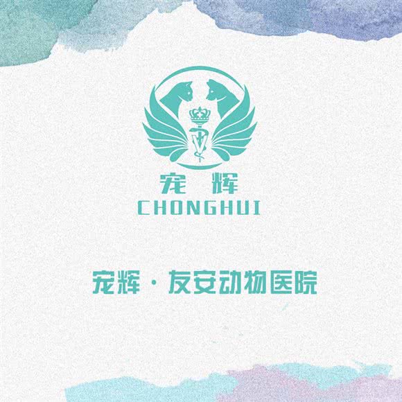 宠辉·友安宠物诊所·腹腔镜微创手术中心:上海城区嘉定区南翔附近