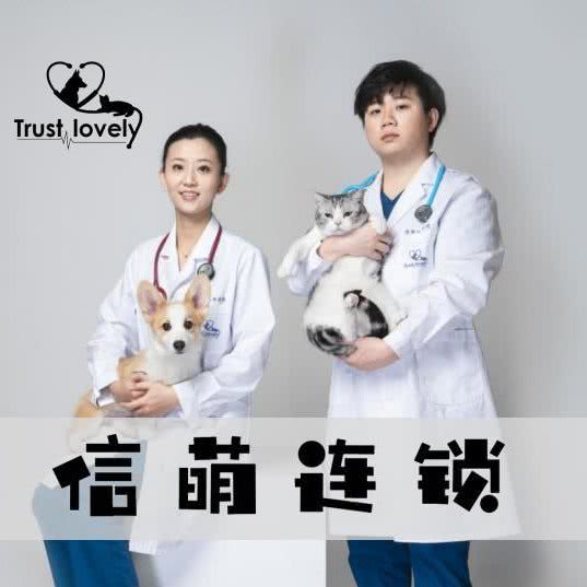 信萌·仁萌宠物诊所 24H·尿路·骨科:上海城区嘉定区南翔附近