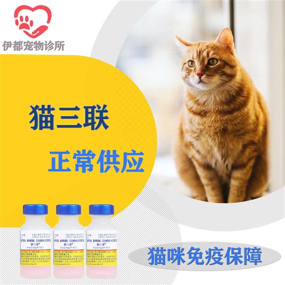 伊都宠物诊所:上海城区嘉定区南翔附近