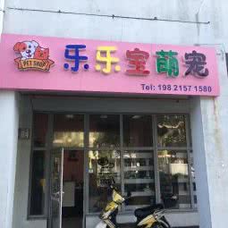乐乐宝萌宠:上海城区嘉定区安亭镇附近