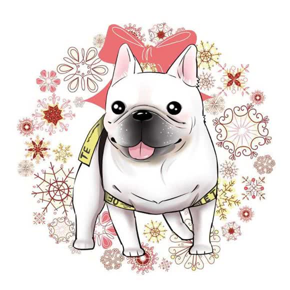 宝宝贝贝宠物(安亭店):上海城区嘉定区安亭镇附近