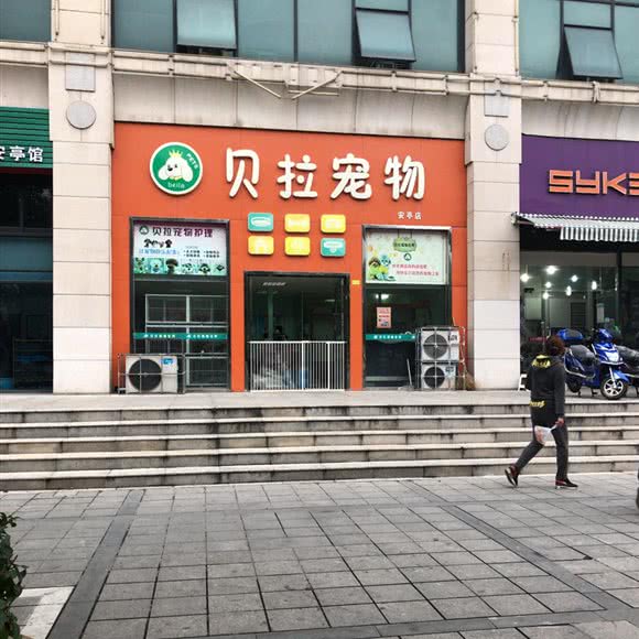 贝拉宠物(安亭店):上海城区嘉定区安亭镇附近