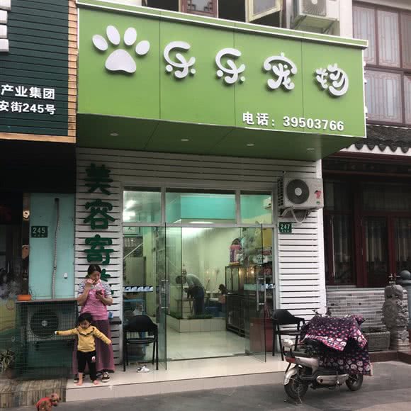 乐乐宠物(永安街店):上海城区嘉定区安亭镇附近
