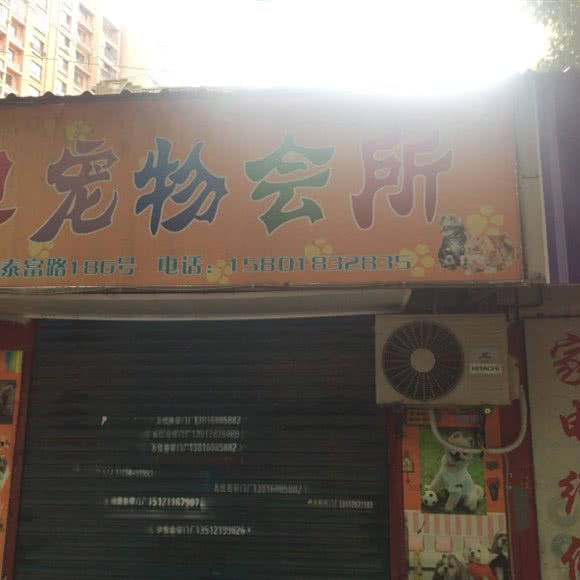 宝贝宠物诊所:上海城区嘉定区安亭镇附近