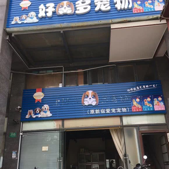 好多宠物:上海城区嘉定区江桥附近
