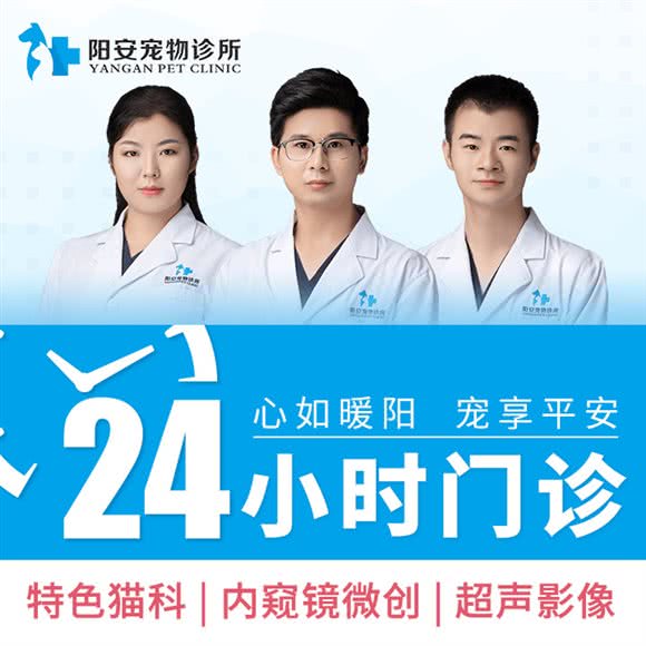 阳安宠物诊所·24h急重症超声诊断中心(内窥镜微创中心):上海城区嘉定区江桥附近