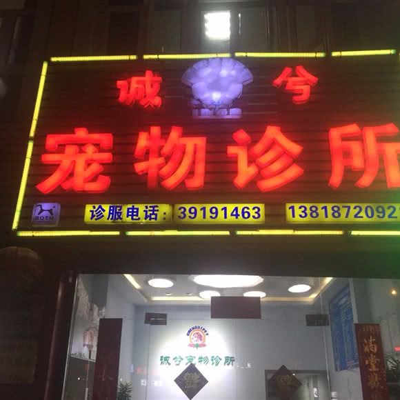 诚乎宠物诊所:上海城区嘉定区江桥附近