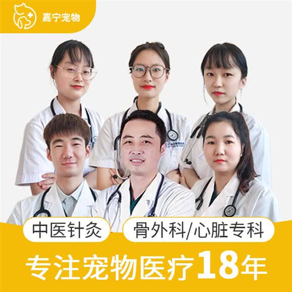 上海嘉宁宠物诊所:上海城区嘉定区马陆镇附近