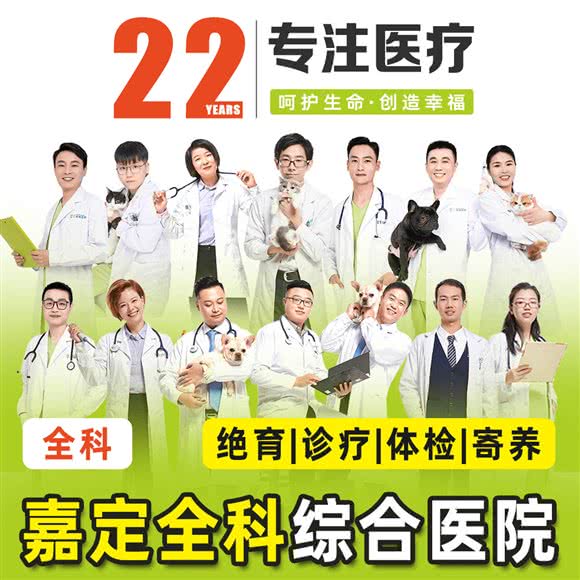 艾吉宠物诊所(嘉定威隆大厦院):上海城区嘉定区丰庄附近