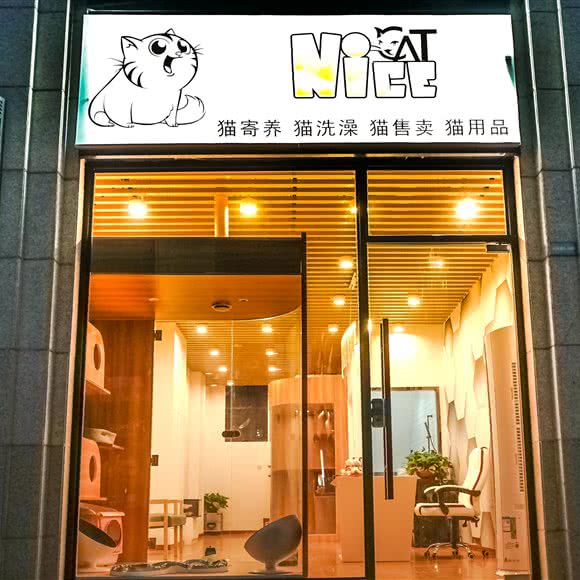 Nice宠物?猫咪馆（白银路店）(白银路店):上海城区嘉定区嘉定新城附近