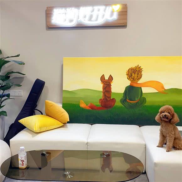 猫狗好开心(白银路店):上海城区嘉定区嘉定新城附近