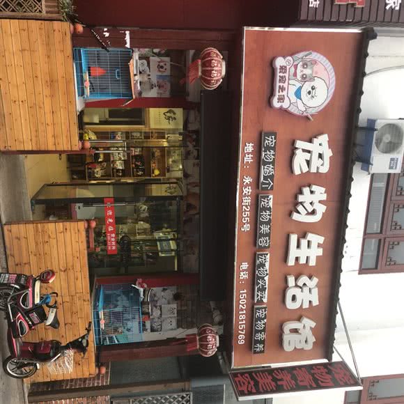 爱宠之家宠物生活馆:上海城区嘉定区安亭新源路附近