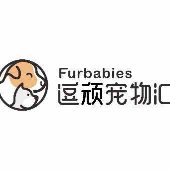 逗顽宠物汇西高地杰克罗素梗专卖:上海城区嘉定区安亭黄渡镇附近