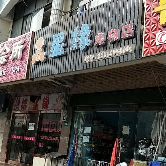 星缘宠物店:上海城区嘉定区外冈镇附近