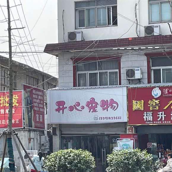 开心宠物:上海城区嘉定区华亭镇附近